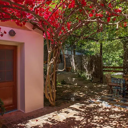 Βίλα Traditional House *